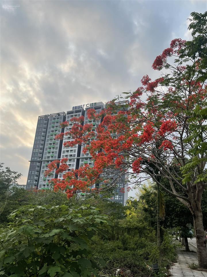 Cần bán gấp căn hộ 2 ngủ siêu đẹp tại trust city