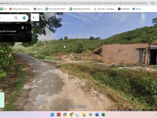 Cần bán 03 hecta rẫy cà phê hiện đang thu 52 tấn cà phê tươi/năm.