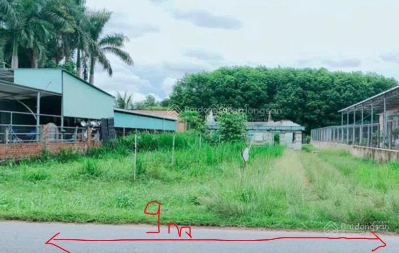 Chính chủ kẹt tiền bán gấp đất thổ cư 160m2 giá 800tr đường võ văn điều xã phước thạnh huyện củ chi