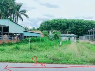 Chính chủ kẹt tiền bán gấp đất thổ cư 160m2 giá 800tr đường võ văn điều xã phước thạnh huyện củ chi