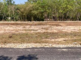 Chủ cần bán gấp trong tháng giảm ngay 100tr. đất 194m2 cách đường dt787 chỉ 200m giá còn 600tr