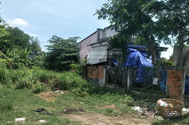 Bán nhanh lô đất thổ cư 105m2 liền kề chợ mt đường giồng cát, xã tân phú trung, củ chi giá cực hời