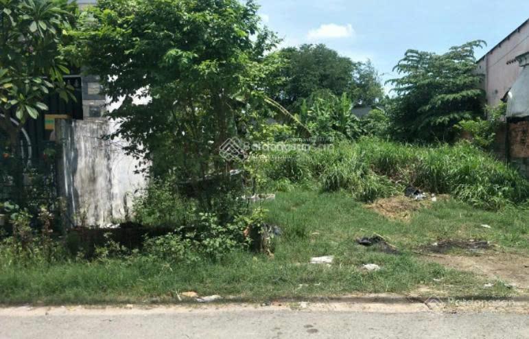 Bán nhanh lô đất thổ cư 105m2 liền kề chợ mt đường giồng cát, xã tân phú trung, củ chi giá cực hời