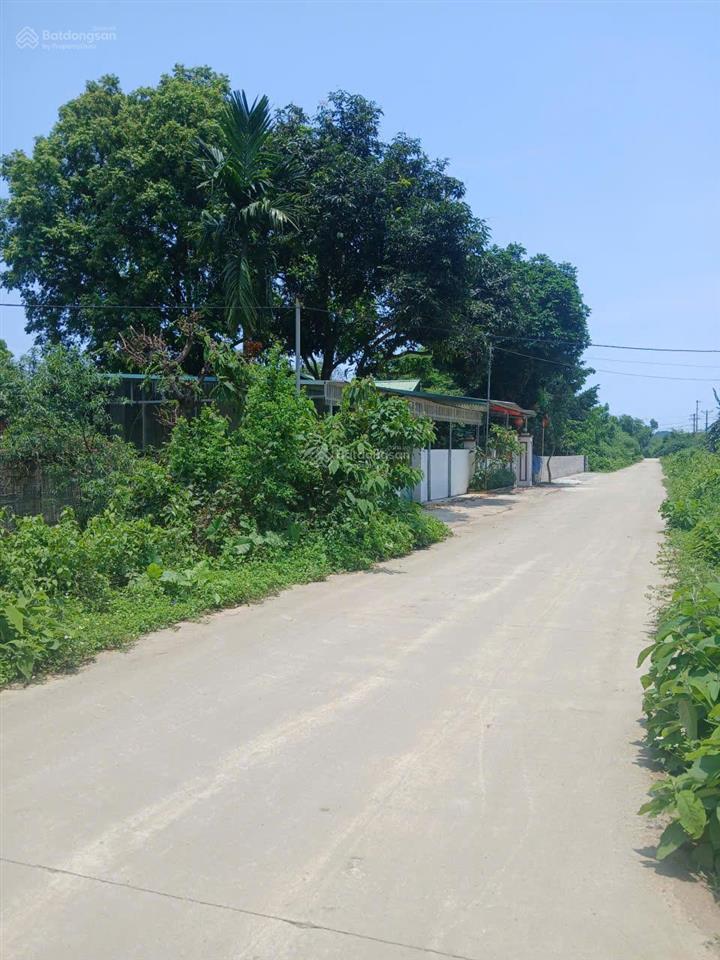 Chính chủ cần bán gấp mảnh đất diện tích 9275m² mặt tiền 90m bám trục chính liên xã, 300nghìn/m2