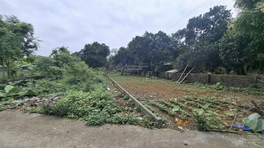Bán gấp đất chỉ hơn 480triệu thị trấn ba hàng đồi , gần kcn thanh hà