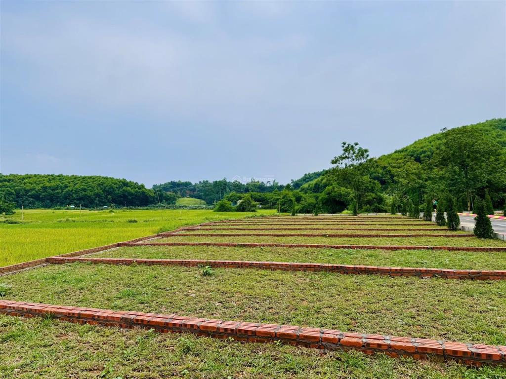 Bán đất tại thị trấn ba hàng đồi, 600 triệu, 80 m2 giá tốt bao đẹp. ! bao phí sang tên