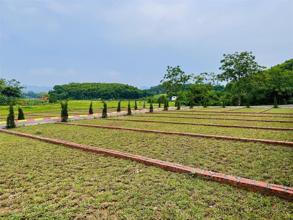 Bán đất tại thị trấn ba hàng đồi, 600 triệu, 80 m2 giá tốt bao đẹp. ! bao phí sang tên