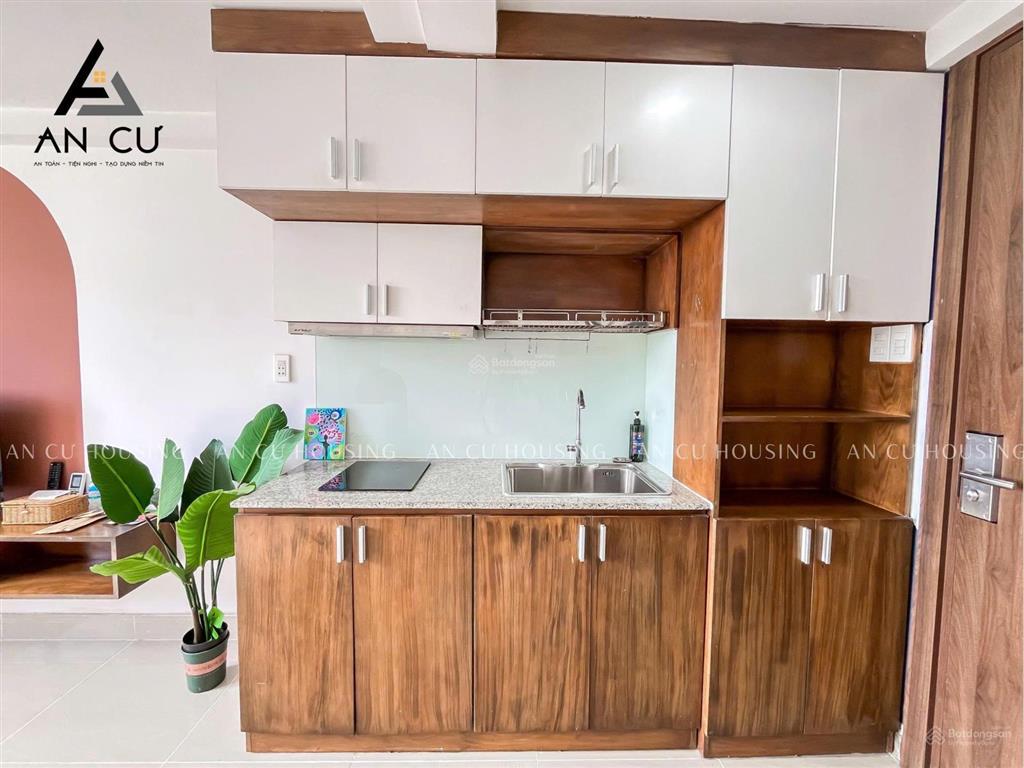 Cho thuê 1pn, 1wc, 40m2, giá 8,8 triệu, view đẹp tại nguyễn thị thập, q7, hcm