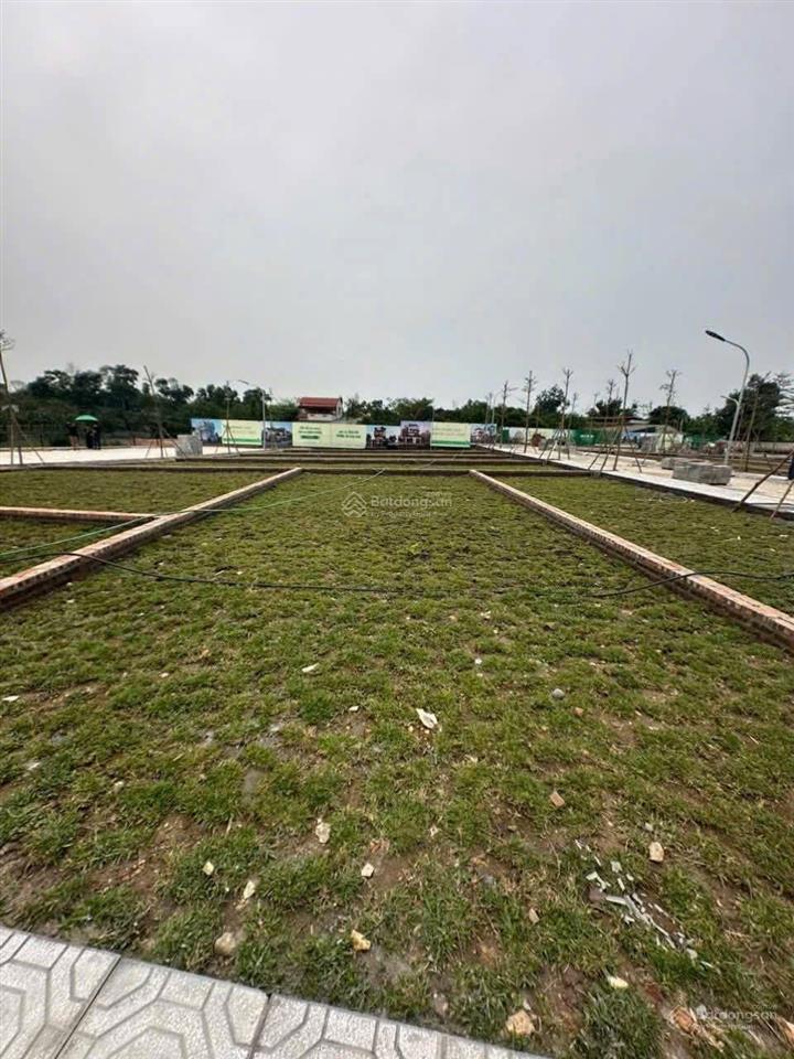 Đất nền hòa lạc fo, 100m2 full thổ cư.  0964 268 ***