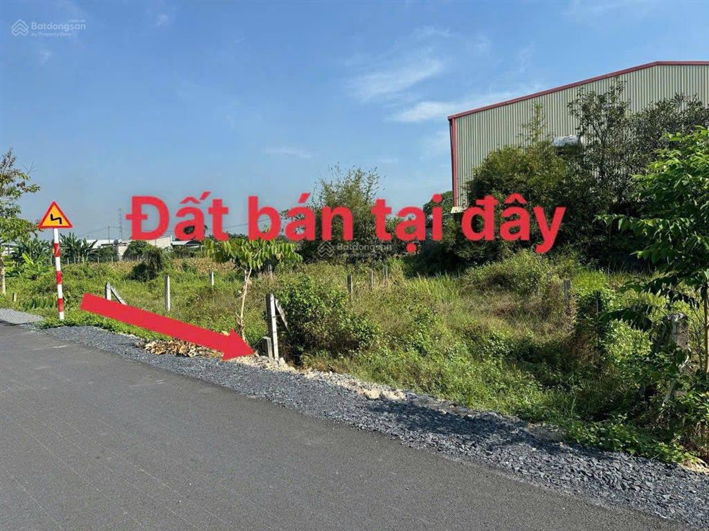 Đất ngộpchính chủ cần bán nhanhthái mỹ đường đỗ ngọc dudt 150m2 820tr shr thổ cư