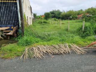 Bán đất mặt tiền cây trôm  mỹ khánh, củ chi  giá tốt 1,1 tỷ