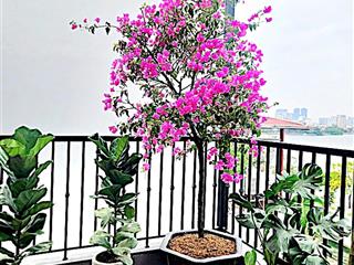 Bán nhà thuỵ khuê, view hồ tây, 7 tầng thang máy, 12 tỷ  vị trí đẹp, hiếm, cách mặt phố chỉ 20m