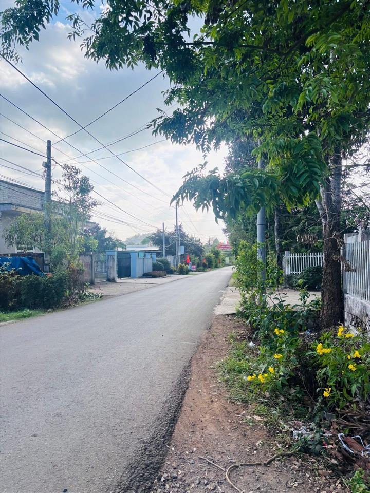 Chính chủ bán gấp tại xã lang minh, xuân lộc, đồng nai bán 3000m2 đất trồng cây lâu năm