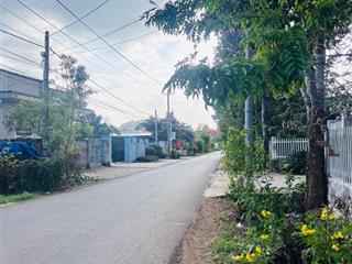 Chính chủ bán gấp tại xã lang minh, xuân lộc, đồng nai bán 3000m2 đất trồng cây lâu năm