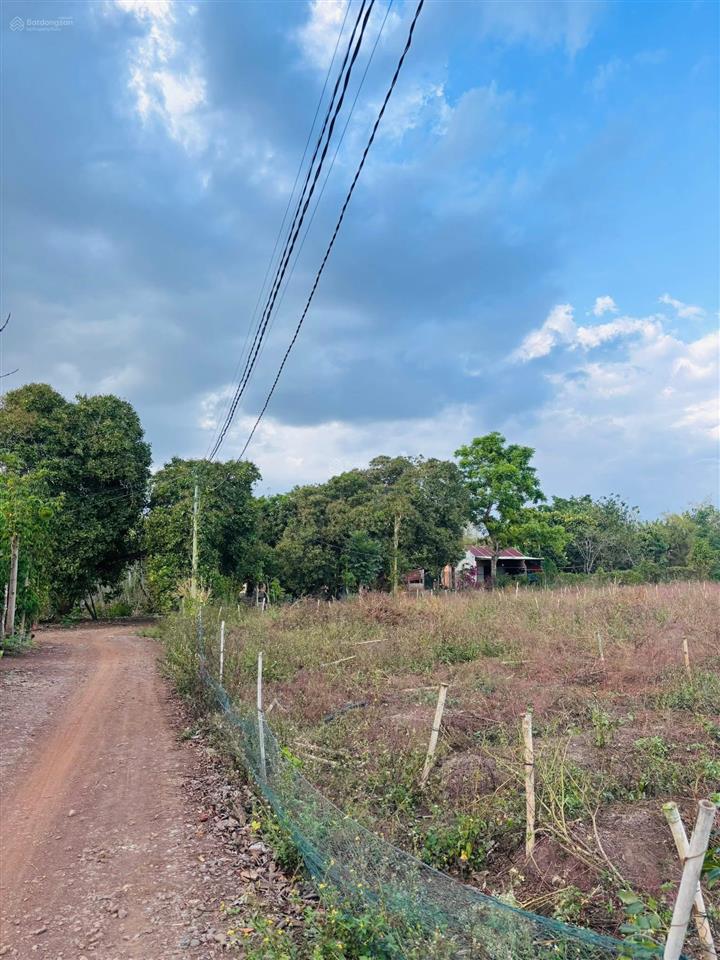 Chính chủ bán gấp tại xã lang minh, xuân lộc, đồng nai bán 3000m2 đất trồng cây lâu năm