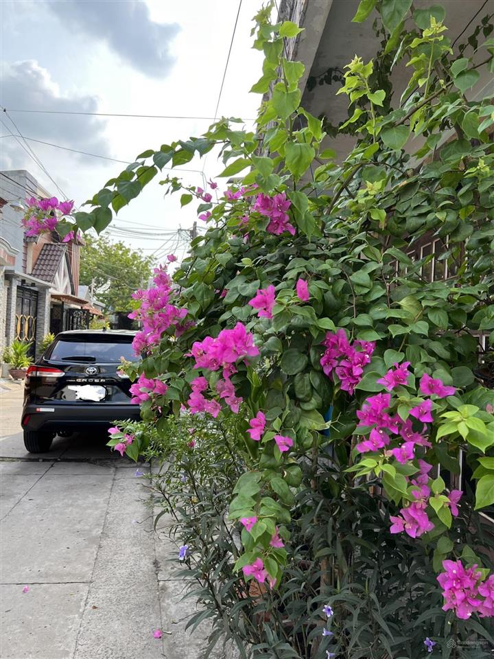 Bán nhà cấp 4 sổ hồng riêng chính chủ, diện tích 142m2