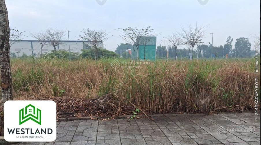 Đất nền thổ cư đường nhựa xe hơi ngay ranh bình chánh 90m2. giá chỉ 1 tỷ 250 triệu