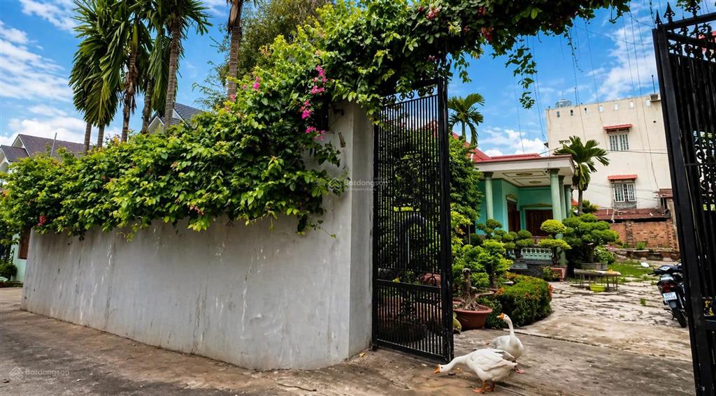 Giảm sốc 2,5 tỷ biệt thự nhà vườn long bình biên hòa chỉ còn 5,6 tỷ (còn thương lượng)