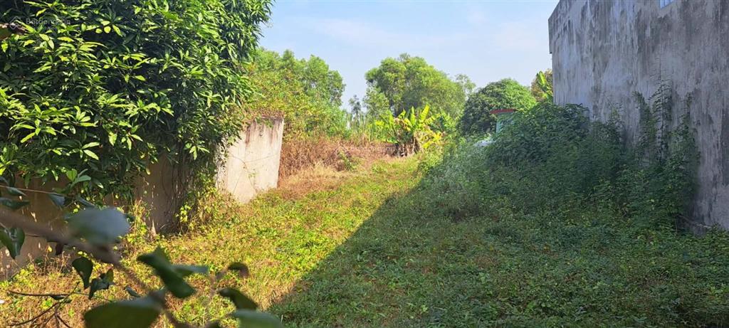 Bán đất mặt tiền 480m2 được thương lượng