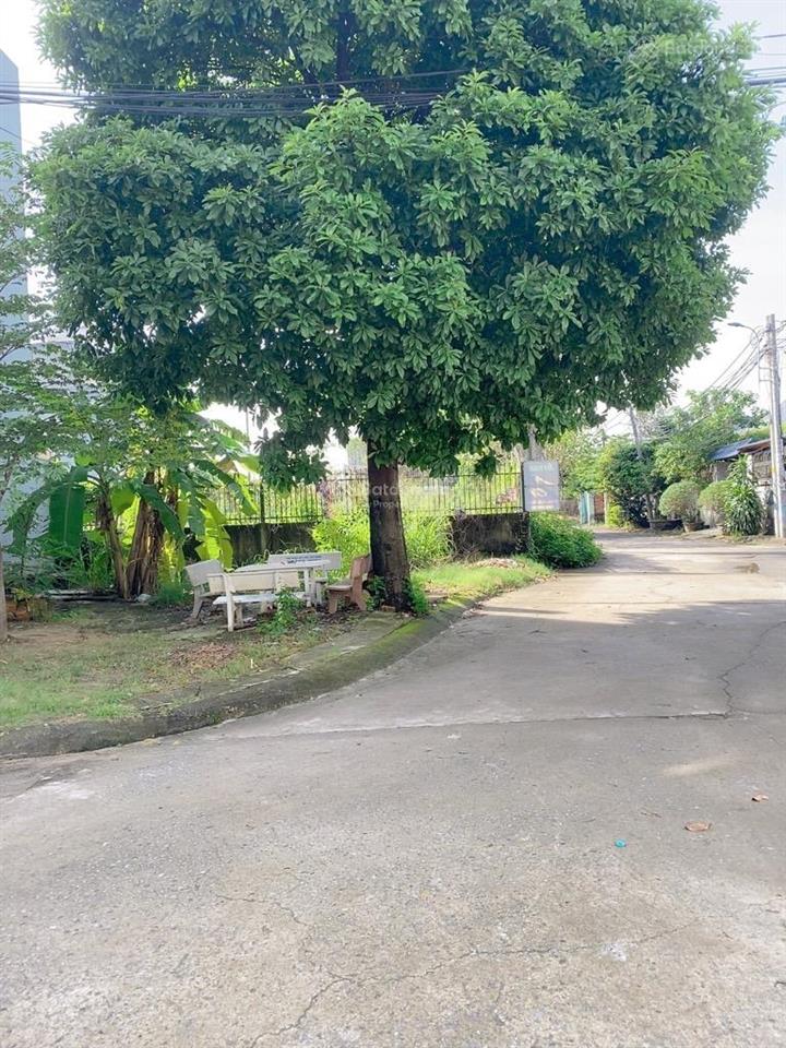 Lô góc 2 mặt tiền nguyễn xiển đối diện vinhomes grand park  đường ôtô  113m2 siêu hiếm  7.4 tỷ