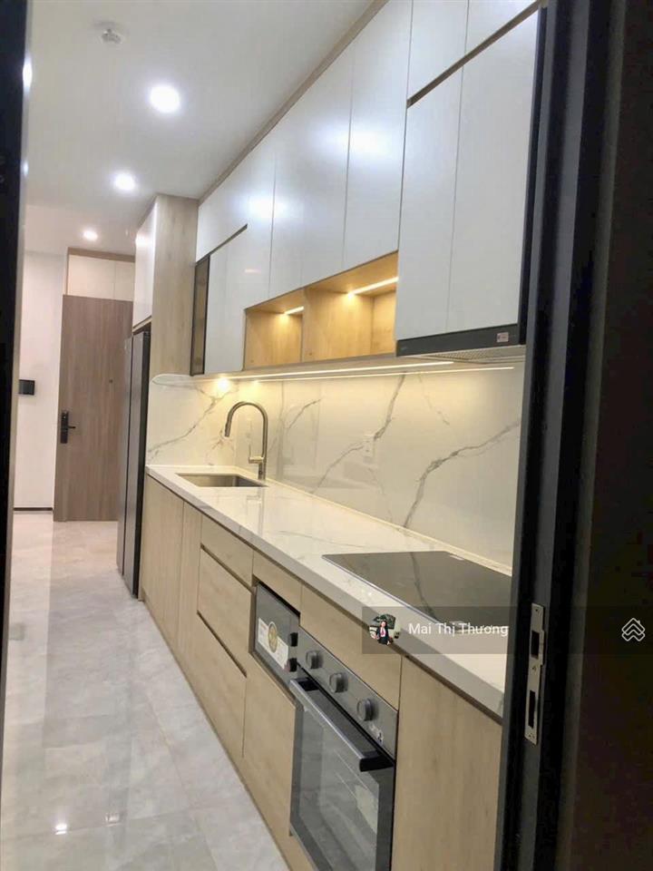 Cho thuê căn hộ phú mỹ hưng quận 7, 2pn nhà mới 100% khu mới giá thuê 27tr/th  0909 462 ***