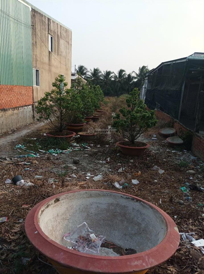 Bán đất dân cư 484m2 thổ mt trương văn đa giá tốt