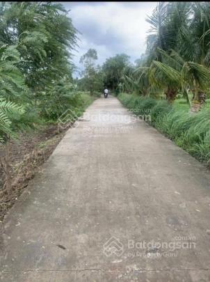 Bán đất vuông đẹp 1000m2 giá 4.5tỷ t11, bình chánh