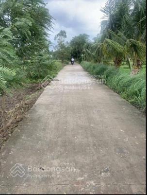 Bán đất vuông đẹp 1000m2 giá 4.5tỷ t11, bình chánh