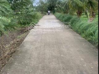 Bán đất vuông đẹp 1000m2 giá 4.5tỷ t11, bình chánh