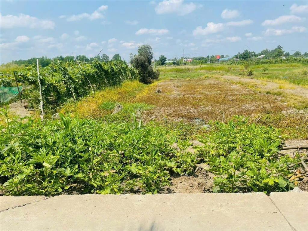 Bán đất vuông đẹp 1000m2 giá 4.5tỷ t11, bình chánh