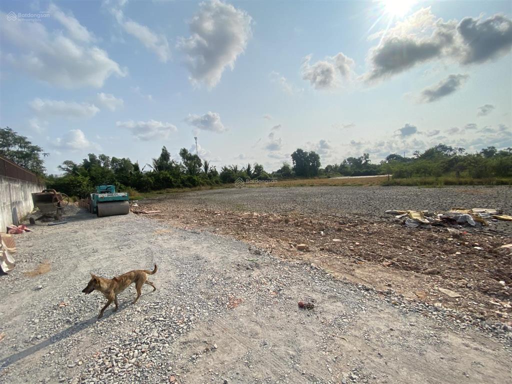 Bán rẻ nền 80m2 thổ cư giá 1.9ti xã bình chánh đường ôtô