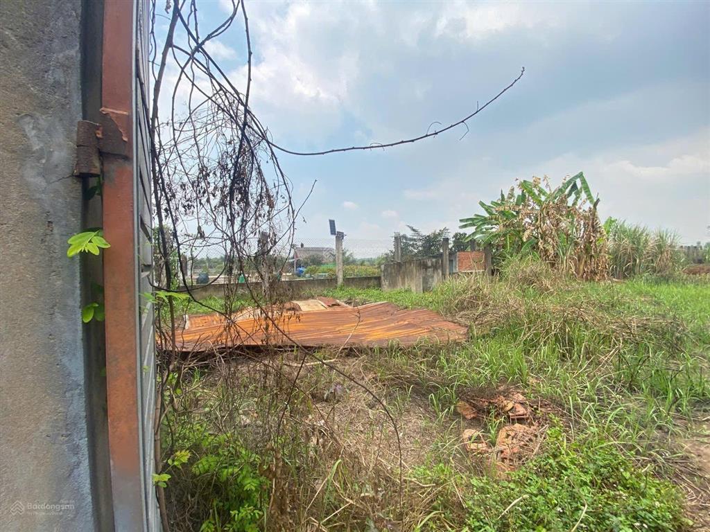 Chủ lớn tuổi cần bán rẻ đất 3000m2 có 300m2 thổ cư mt thích thiện hòa