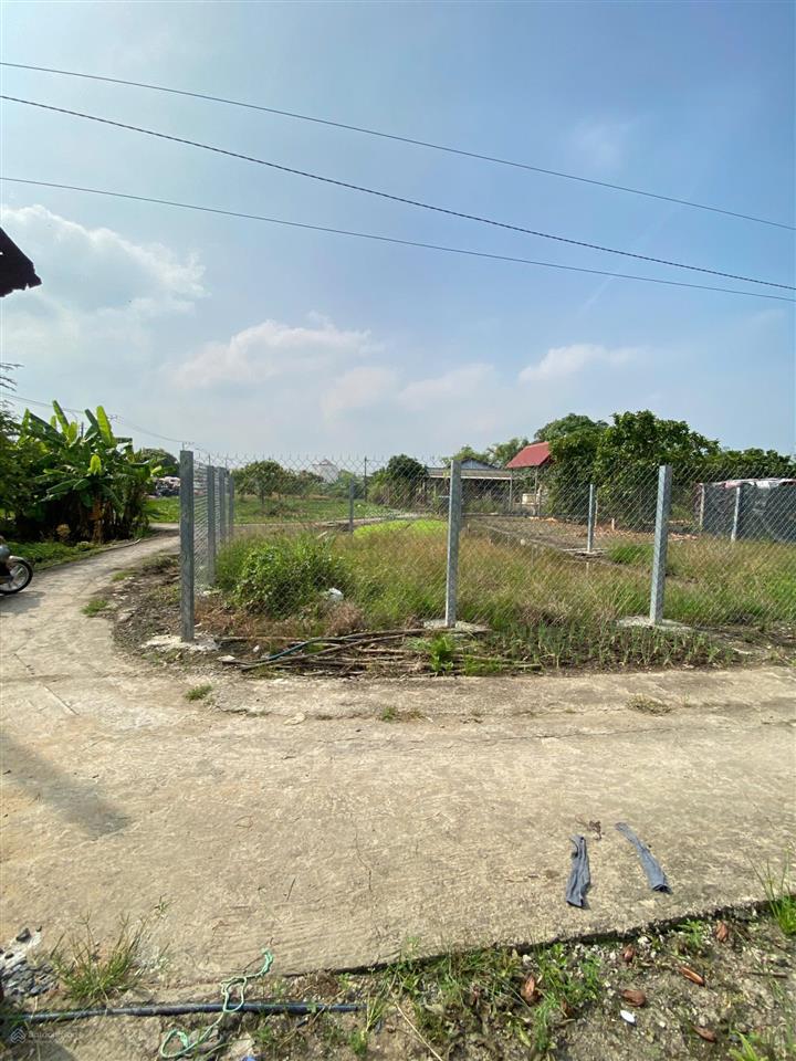 Bán đất 2mt 2300m2 thổ cư giá rẻ 13 tỷ phân lô rất đẹp