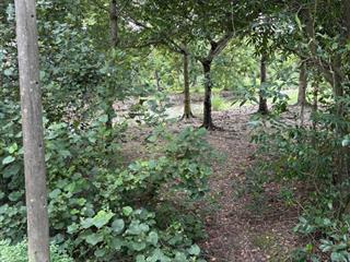 Chủ cần bán gấp 2500m2 giá 5.5ti xã tân nhựt đối diện dự án ecoretreat