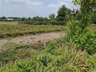 Bán đất 3500m2 qh làng đại học hưng long giá 1.8tr còn tl