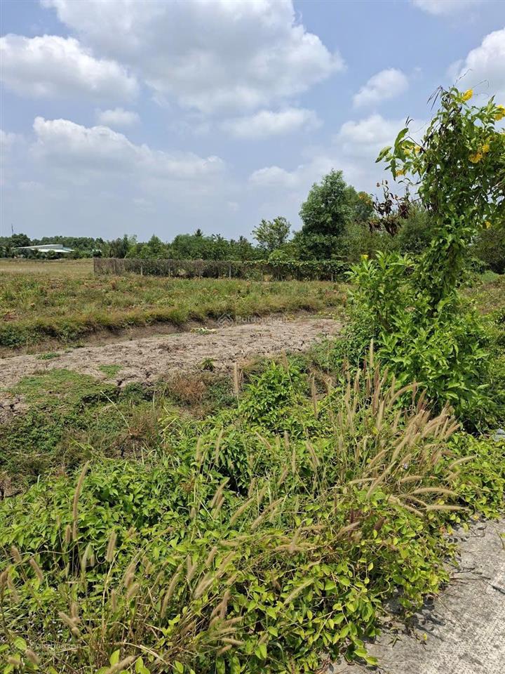 Bán đất qh làng đại học hưng long 6000m2 giá 2tr