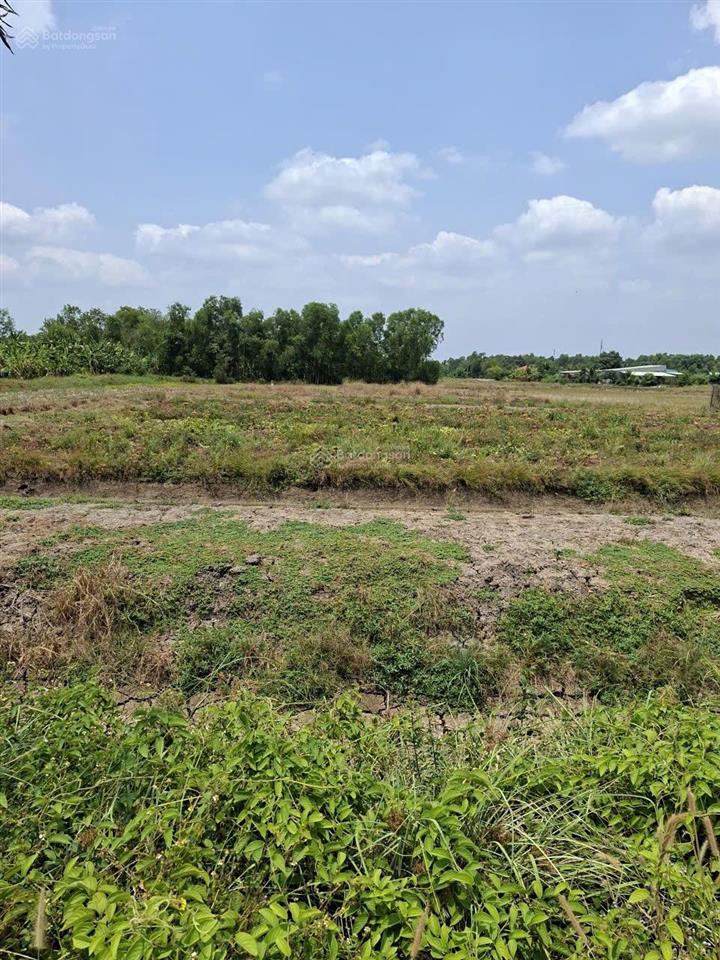 Bán đất qh làng đại học hưng long 6000m2 giá 2tr