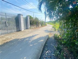 Bán gấp vườn 500m2 đường xe tải gần bv nhi đồng bình chánh