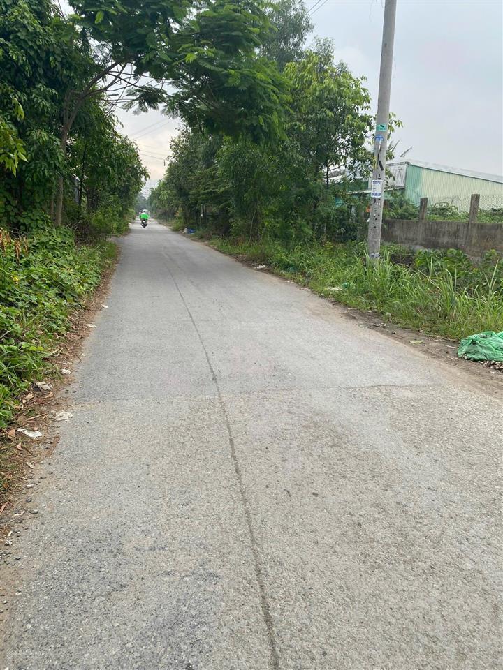 Bán đất 1.1ha đường ấp 2 xã bình chánh mới giá 77 tỷ