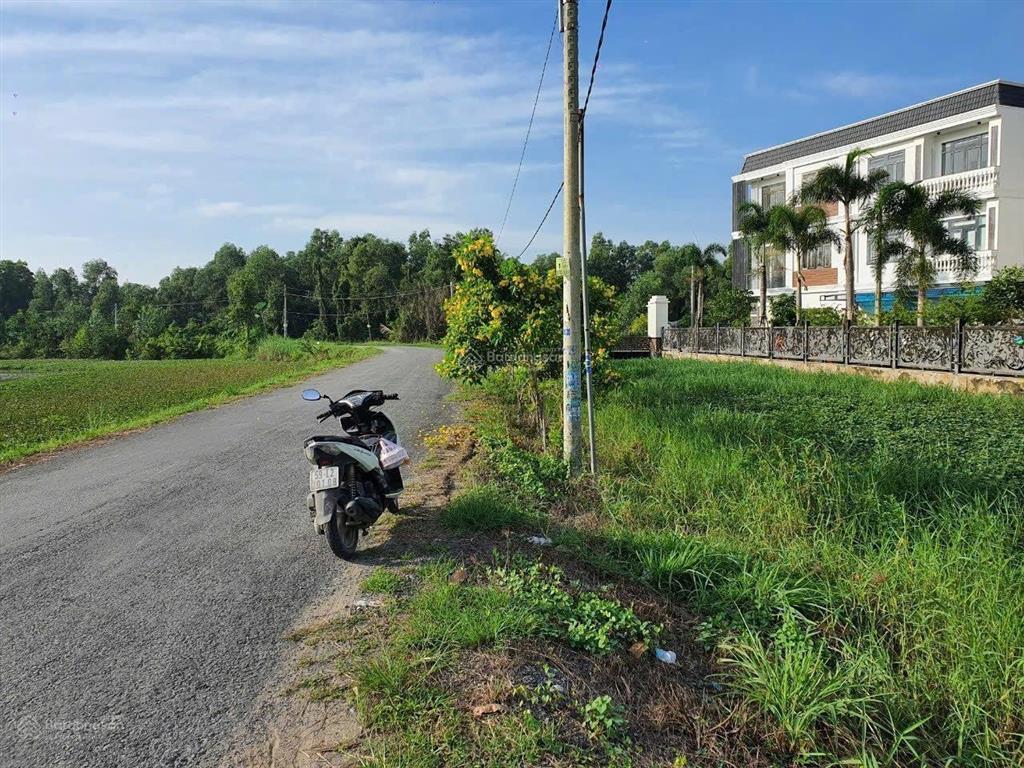 Bán đất 1541m2 mt nhựa đê bao ông cốm xã bình chánh 6ti