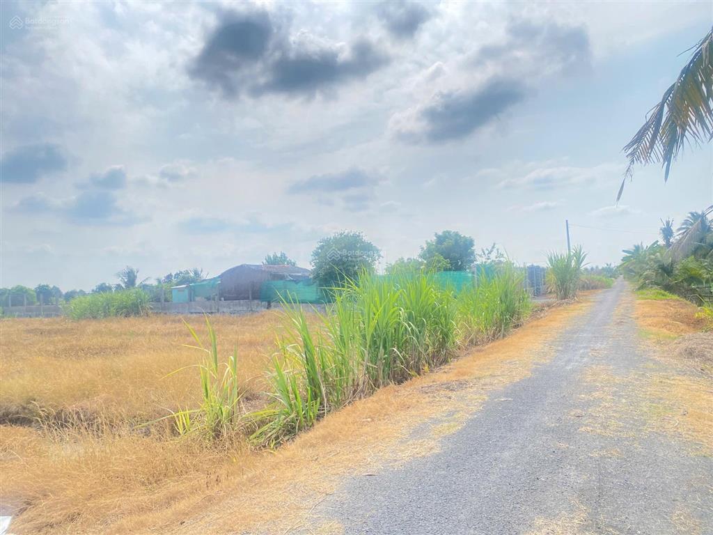 Bán đất mẫu 1.5ha xát vành đai 3 lê minh xuân giá 4.5tr/m2