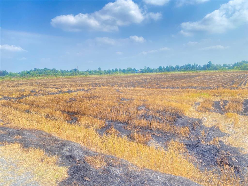 Bán đất mẫu 1.5ha xát vành đai 3 lê minh xuân giá 4.5tr/m2