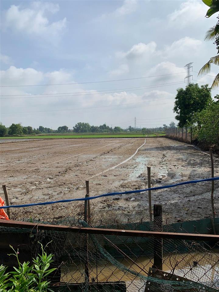 Bán đất 2362m2 kênh 8 xã tân nhựt, giá 1.7tr/m2
