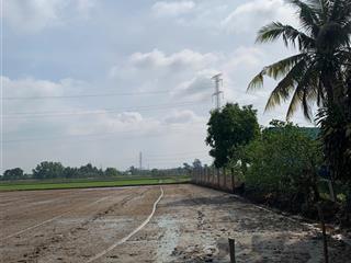 Bán đất 2362m2 kênh 8 xã tân nhựt, giá 1.7tr/m2