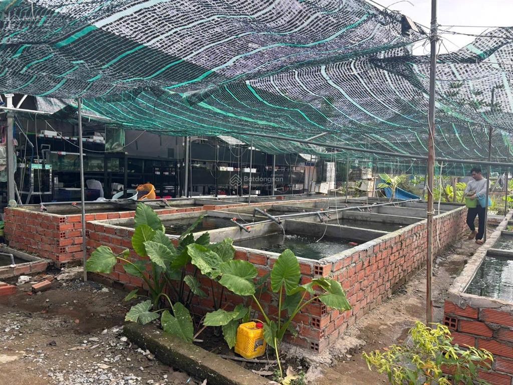 Bán nhà vườn 763m2 ngay tt tân túc giá 5.3 tỷ