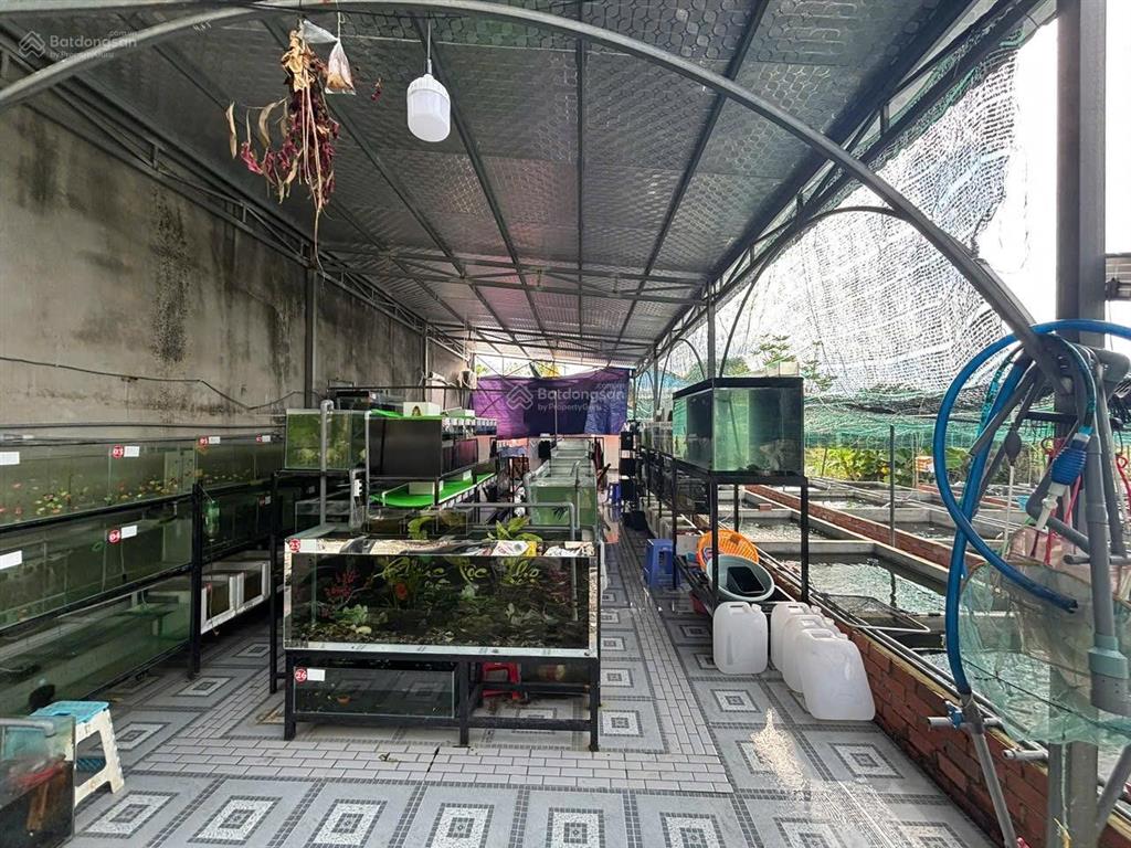 Bán nhà vườn 763m2 ngay tt tân túc giá 5.3 tỷ
