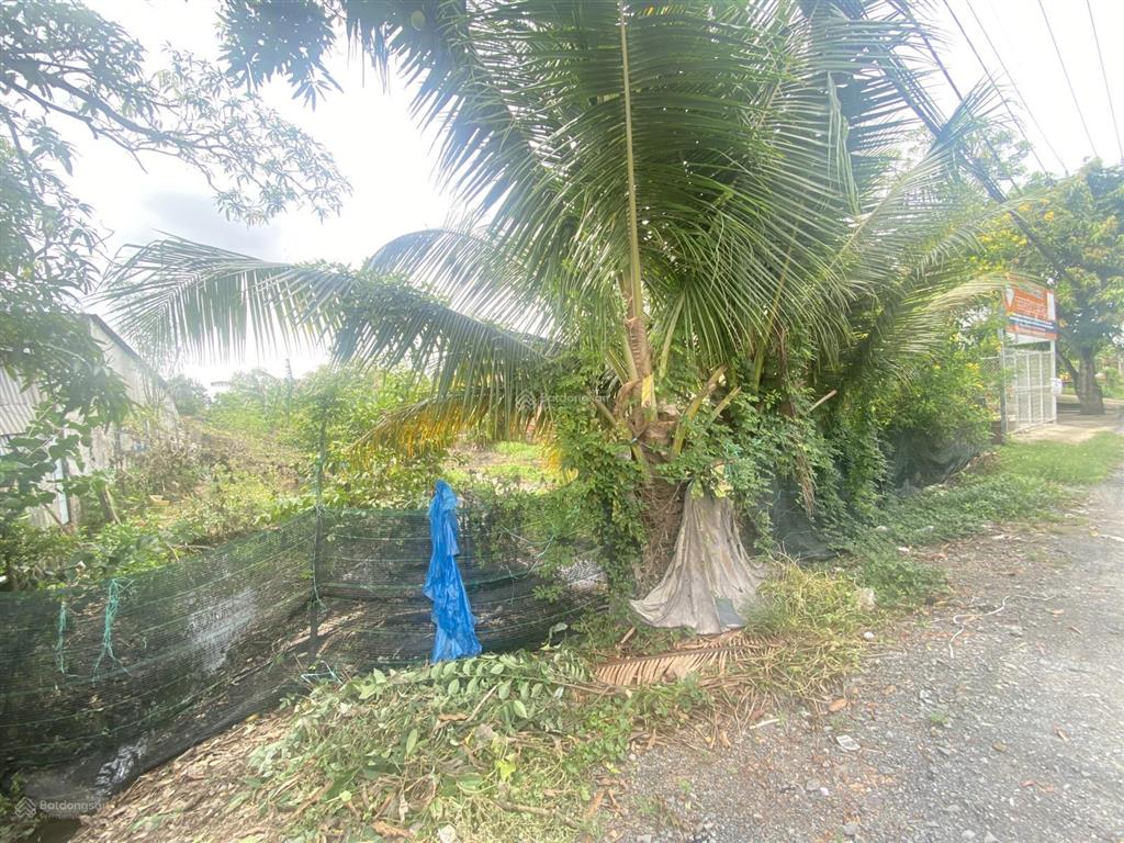 Cần bán 2000m2 xã bình chánh qh phân khu cho lên thổ cư giá 7tr/m2