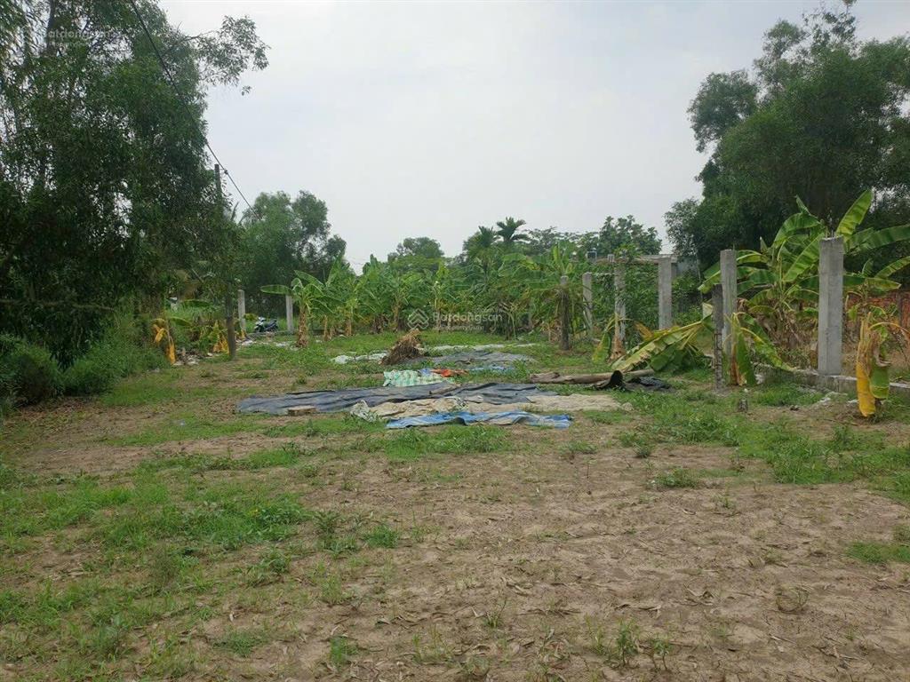 Lô này phân lô quá đẹp mà giá lại rẻ ạ 1.455m2 tách được hơn 10 lô