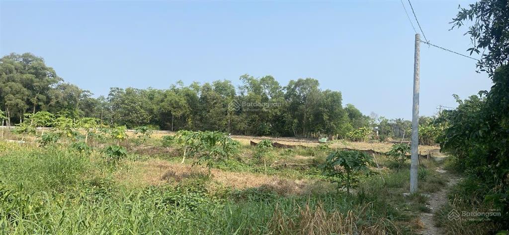 Chủ cần bán rẻ đất 1ha xã hưng long mới view sông giá rẻ 14tỷ