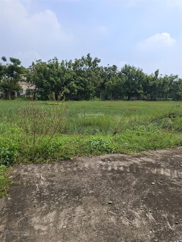 Lúc này em chỉ bán hàng ngộp thôi 250m2 giá 7,1 tỷ kdc 47ha